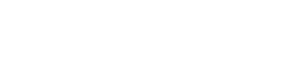 CVS Logo